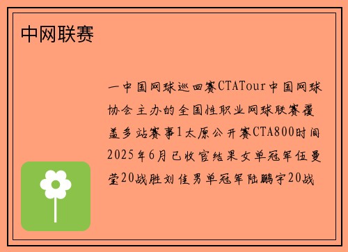 中网联赛